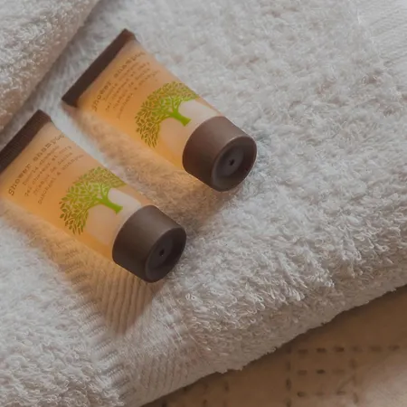 A Casa Della Ely-2 Bedrooms And 2 Bathrooms Διαμέρισμα Τεργέστη